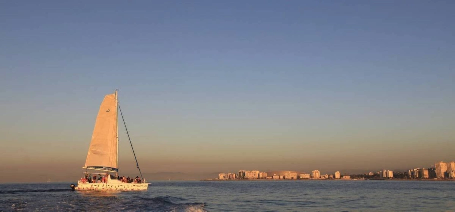 Champagne Catamaran Cruise and Dinner in Cape Town-4